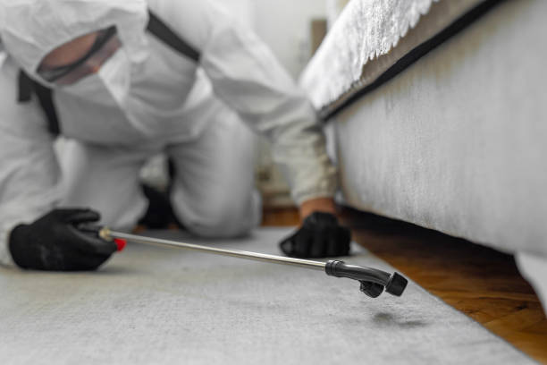 Professional Bed Bug Control technician working in Owings Mills, MD